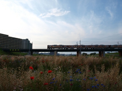 d0114517_2092380.jpg