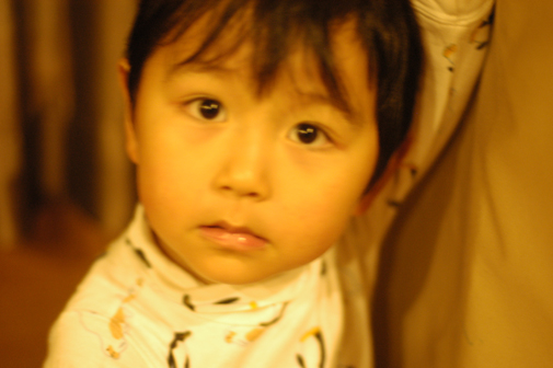 d0129922_8391571.jpg