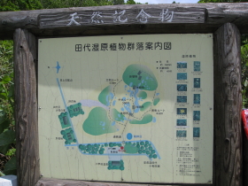 b0147224_0382686.jpg