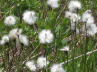 b0147224_0411449.jpg