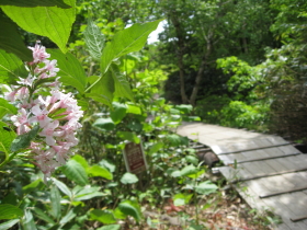 b0147224_0424513.jpg