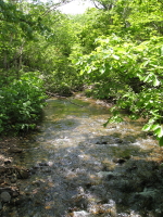 b0147224_0451446.jpg