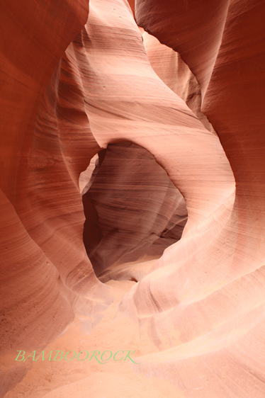 f0045130_1535470.jpg
