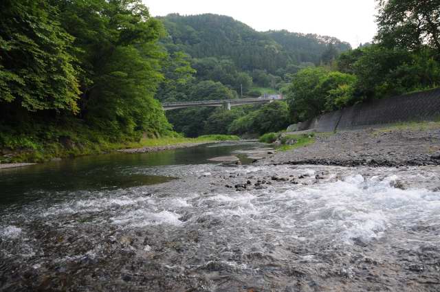 c0133133_2155565.jpg
