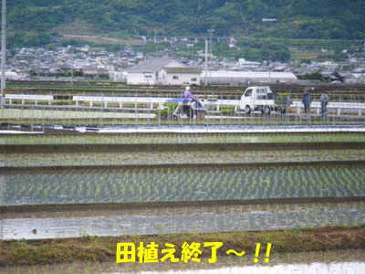 f0008935_1357145.gif