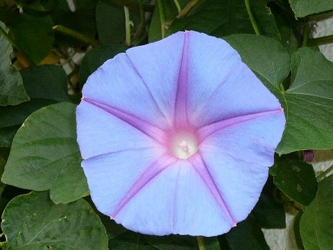 b0012636_2291927.jpg