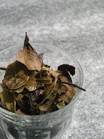 e0149040_10411557.jpg