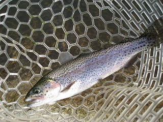 f0065341_011312.jpg