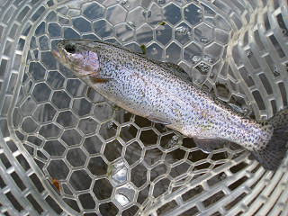 f0065341_0122261.jpg