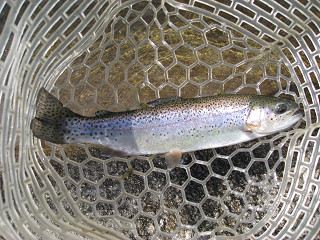 f0065341_0142320.jpg