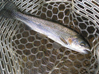 f0065341_01447.jpg
