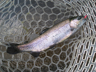 f0065341_0174933.jpg
