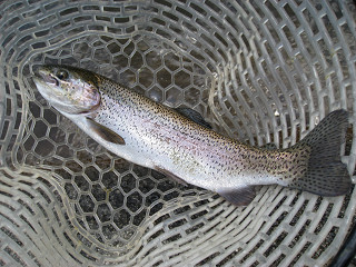 f0065341_01829.jpg