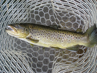 f0065341_0183762.jpg