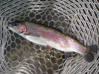f0065341_0191251.jpg