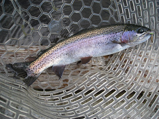 f0065341_9554934.jpg