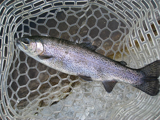 f0065341_9561730.jpg