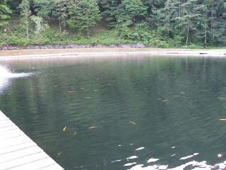 f0065341_957276.jpg