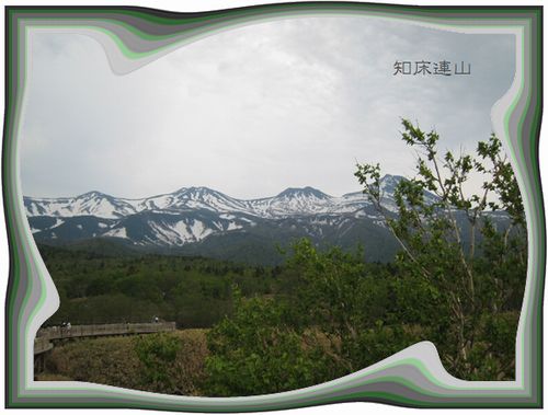 c0106443_802138.jpg