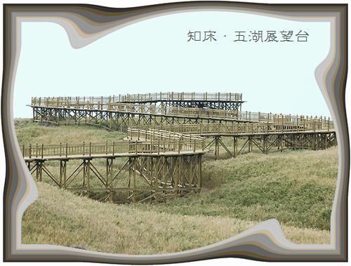 c0106443_80888.jpg