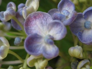 c0134645_2227566.jpg