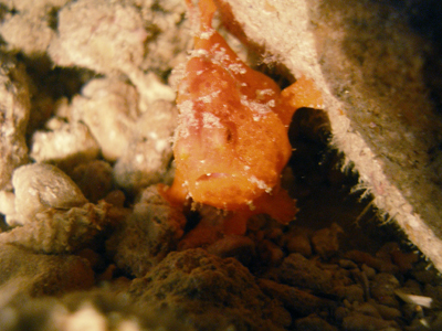 d0065247_20371834.jpg