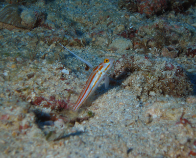d0065247_20381085.jpg