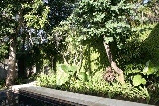 b0025850_0113979.jpg