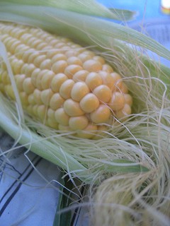 f0009451_20345498.jpg