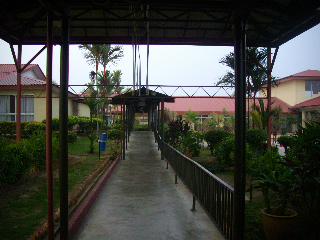 e0030353_21301327.jpg