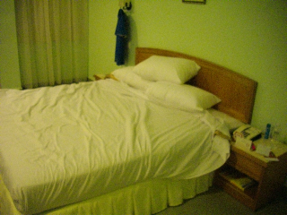 e0030353_21365385.jpg