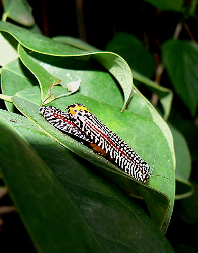 d0091754_0361279.jpg