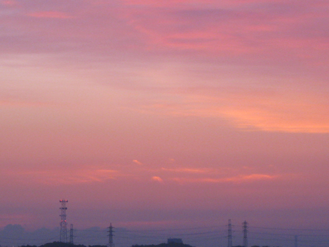 f0183656_20262680.jpg