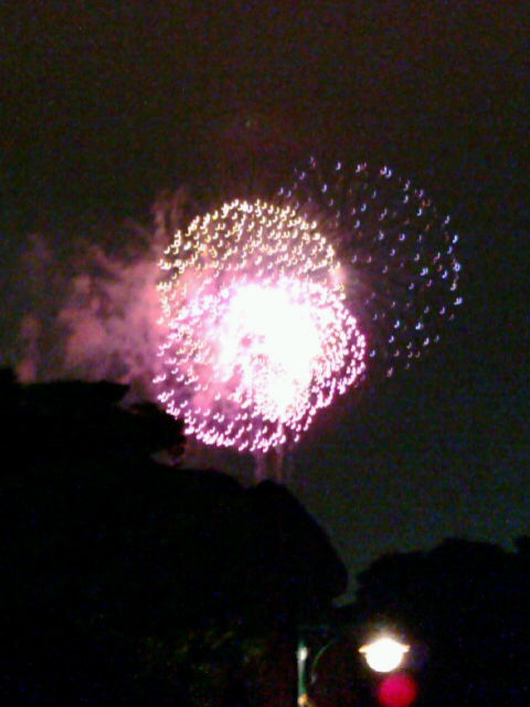 f0078361_8494219.jpg