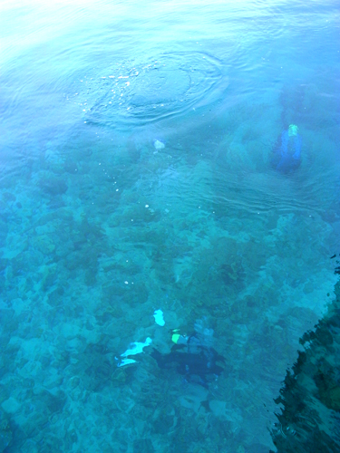 b0062363_21101798.jpg