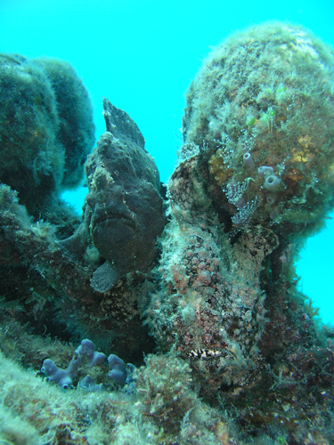 b0062363_21163111.jpg