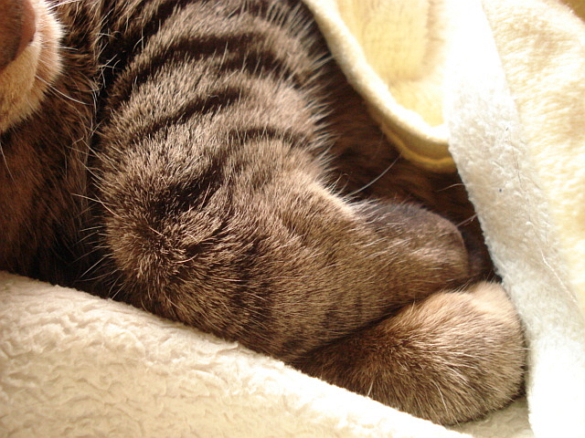 f0132565_1254213.jpg