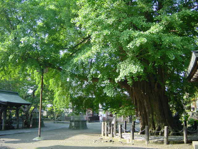 c0187166_12541224.jpg