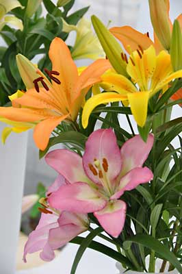 e0097770_16235362.jpg
