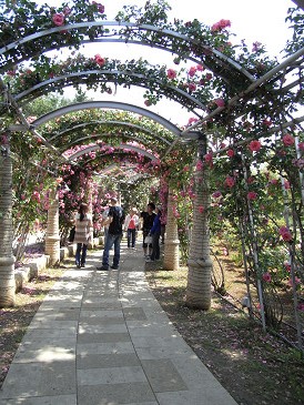 f0178471_0324939.jpg