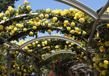 f0178471_0334632.jpg