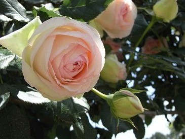f0178471_0341143.jpg