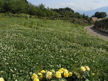 f0178471_036075.jpg