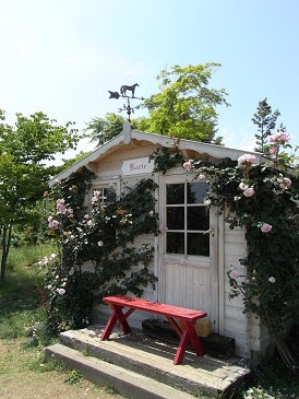 f0178471_037083.jpg