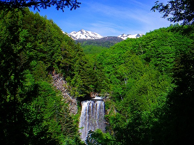 f0182173_23181874.jpg