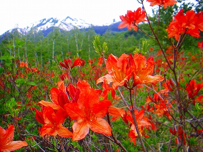 f0182173_23192010.jpg