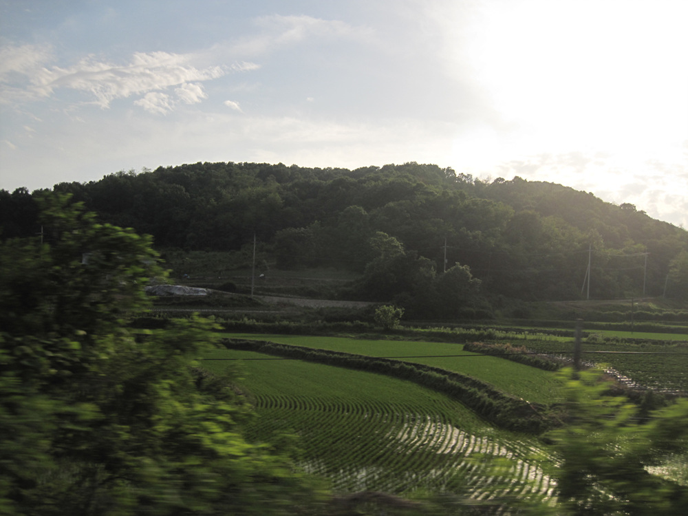 e0151775_1850447.jpg