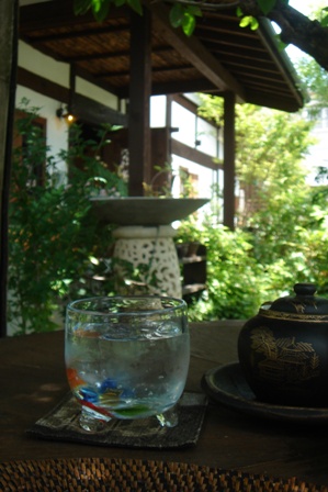 c0135480_15392058.jpg