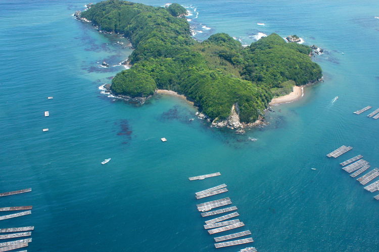 e0169286_19214621.jpg