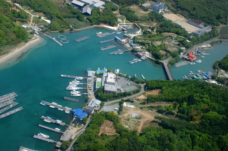 e0169286_1926211.jpg